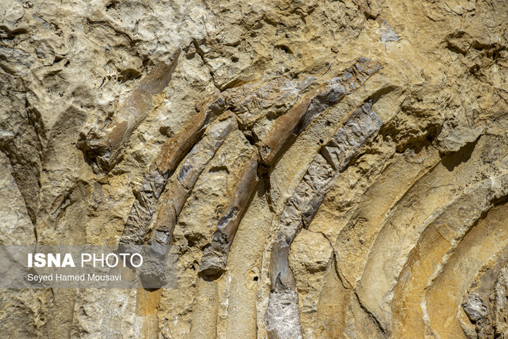 لیوس؛ روستایی از دل سنگ