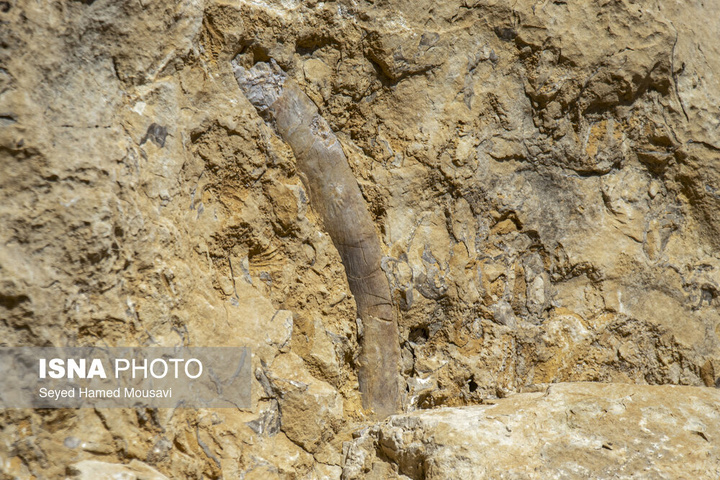 لیوس؛ روستایی از دل سنگ