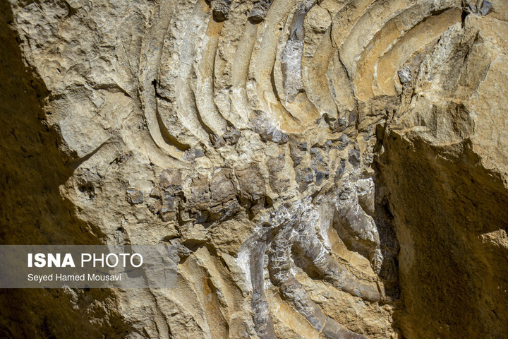 لیوس؛ روستایی از دل سنگ