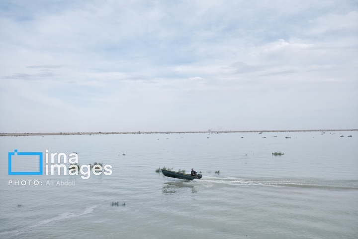 ورود آب به سیستان پس از سال‌ها خشکسالی