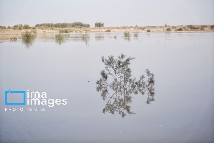 ورود آب به سیستان پس از سال‌ها خشکسالی