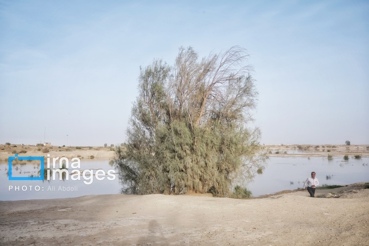 ورود آب به سیستان پس از سال‌ها خشکسالی