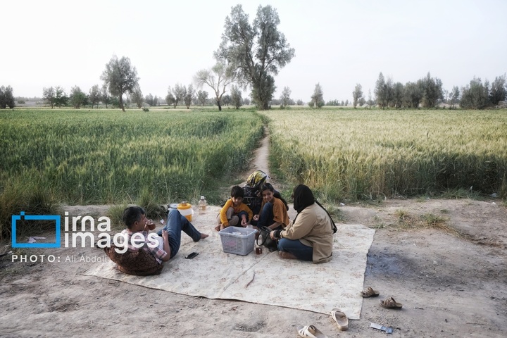 ورود آب به سیستان پس از سال‌ها خشکسالی