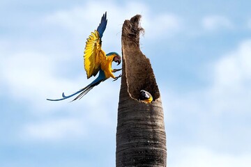 منتخب لحظه‌های حیات‌وحش