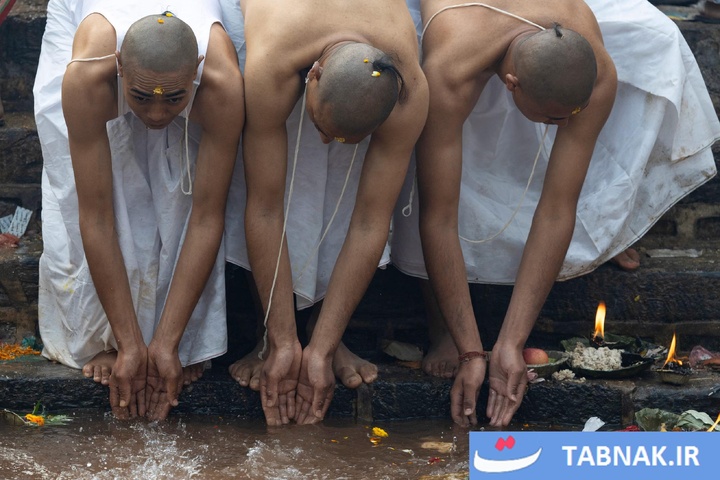 عکس‌های روز جهان از دریچه تابناک