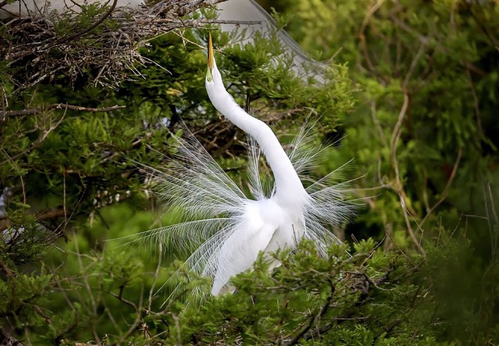 منتخب لحظه‌های حیات‌وحش