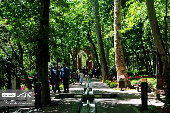 باغ ایرانی میزبان لاله‌های بهاری