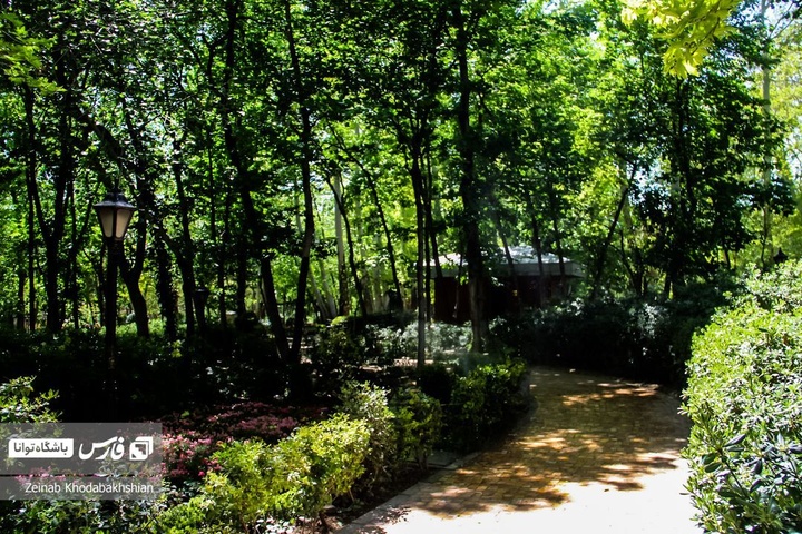 باغ ایرانی میزبان لاله‌های بهاری