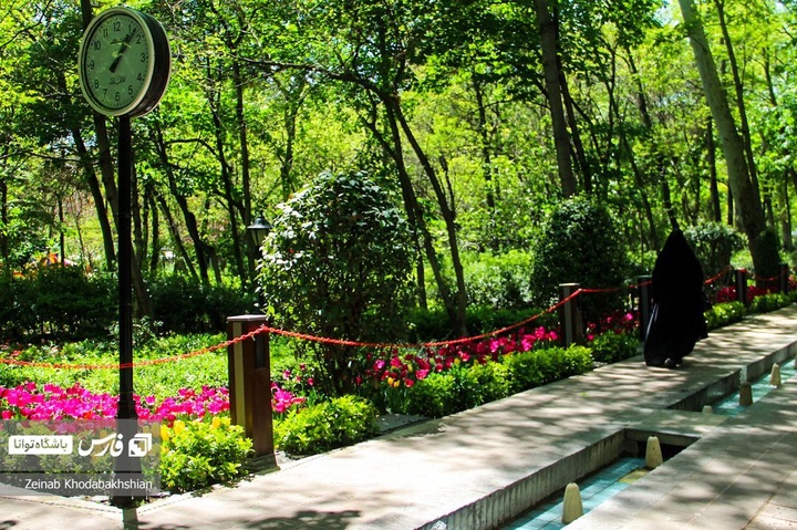 باغ ایرانی میزبان لاله‌های بهاری