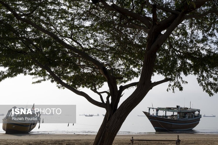 «سورو»؛ ساحلی رو به خلیج فارس