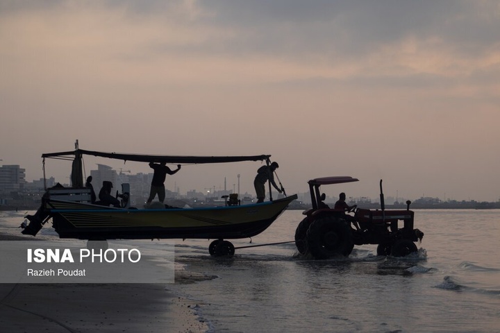 «سورو»؛ ساحلی رو به خلیج فارس