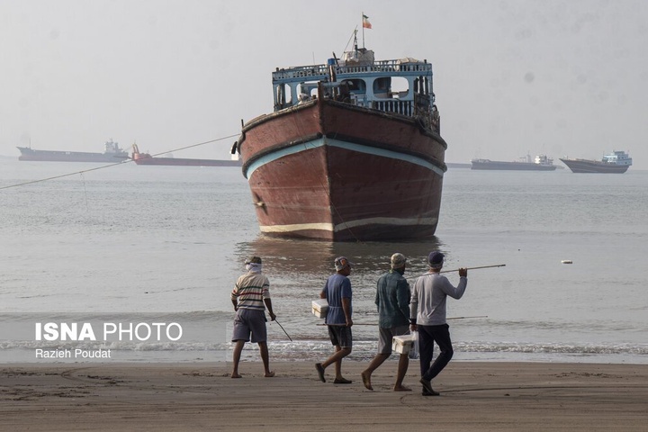 «سورو»؛ ساحلی رو به خلیج فارس