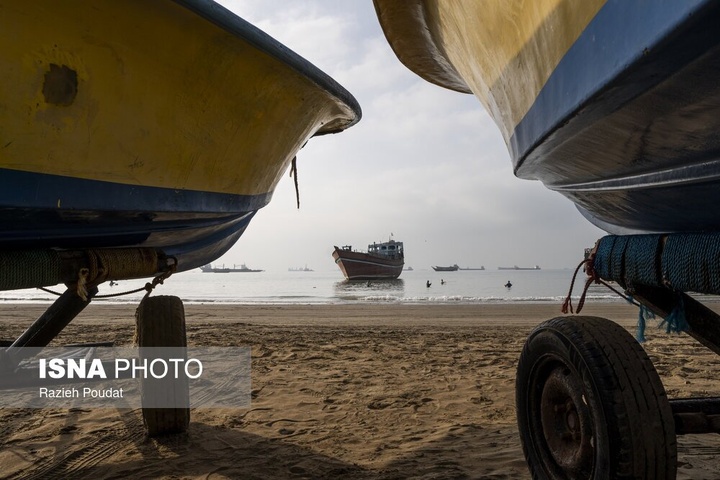 «سورو»؛ ساحلی رو به خلیج فارس