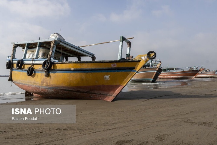 «سورو»؛ ساحلی رو به خلیج فارس