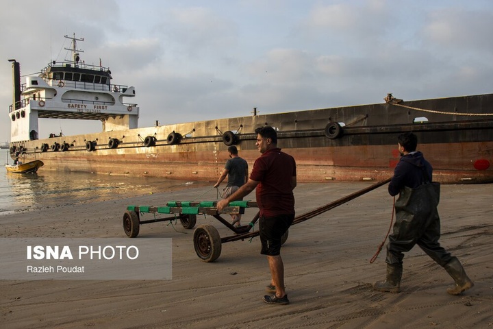 «سورو»؛ ساحلی رو به خلیج فارس