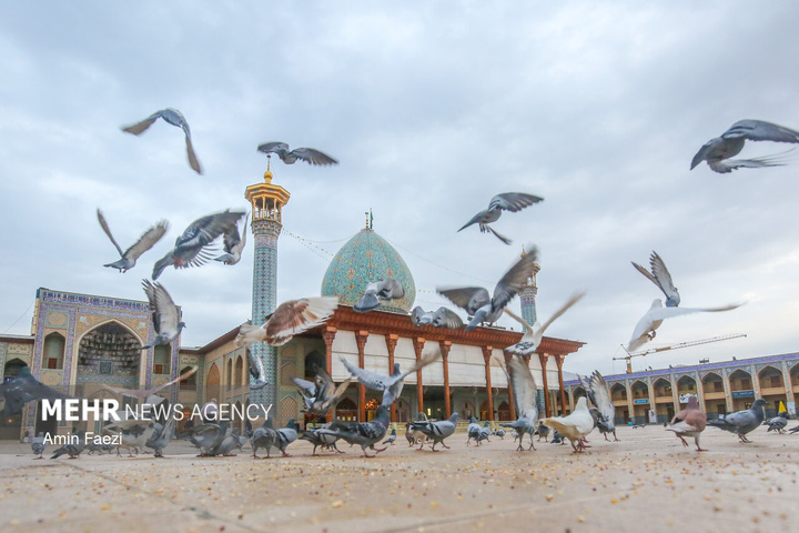 حرم مطهر حضرت شاهچراغ(علیه‌السلام)