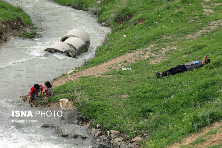 طبیعت بهاری تالاب «هشیلان» - کرمانشاه