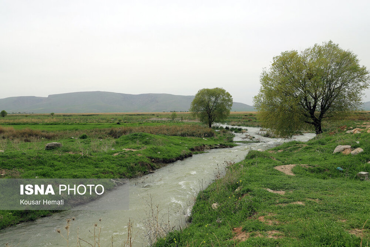 طبیعت بهاری تالاب «هشیلان» - کرمانشاه