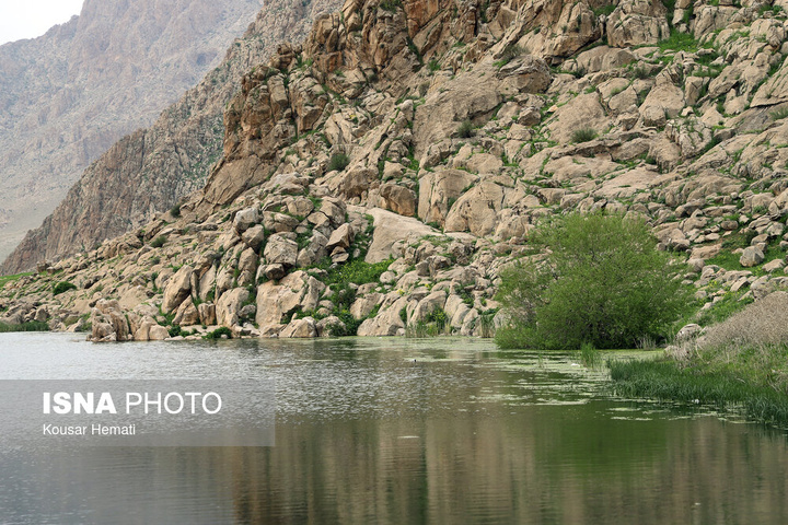 طبیعت بهاری تالاب «هشیلان» - کرمانشاه