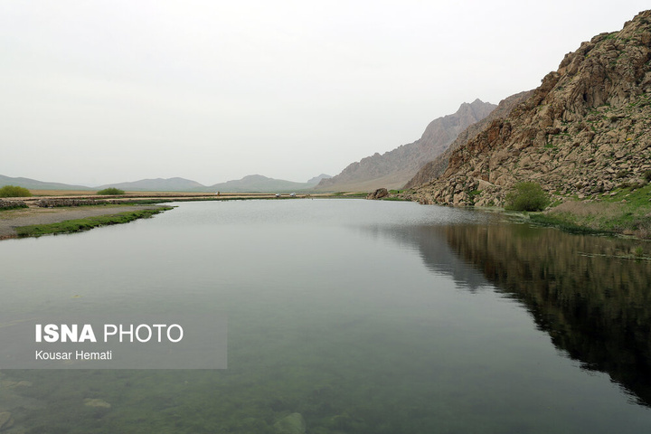 طبیعت بهاری تالاب «هشیلان» - کرمانشاه