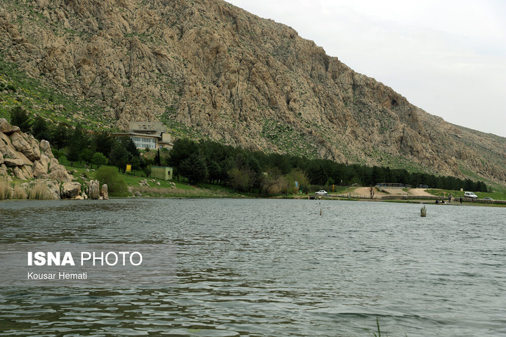 طبیعت بهاری تالاب «هشیلان» - کرمانشاه