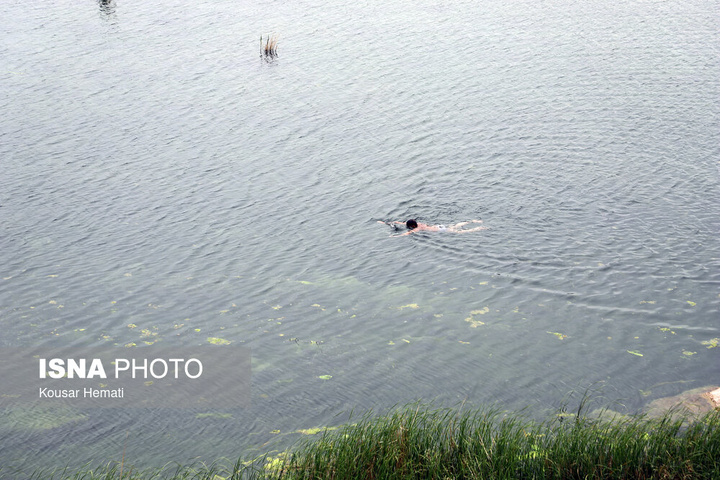 طبیعت بهاری تالاب «هشیلان» - کرمانشاه