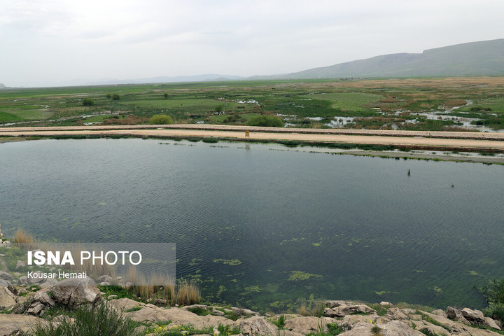 طبیعت بهاری تالاب «هشیلان» - کرمانشاه