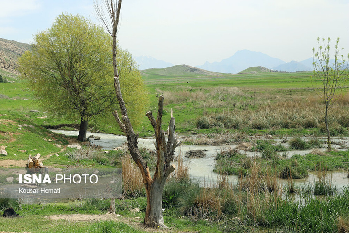 طبیعت بهاری تالاب «هشیلان» - کرمانشاه