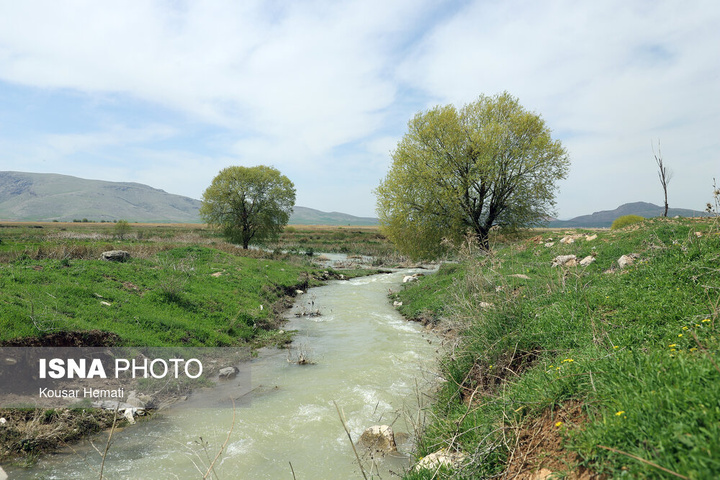 طبیعت بهاری تالاب «هشیلان» - کرمانشاه