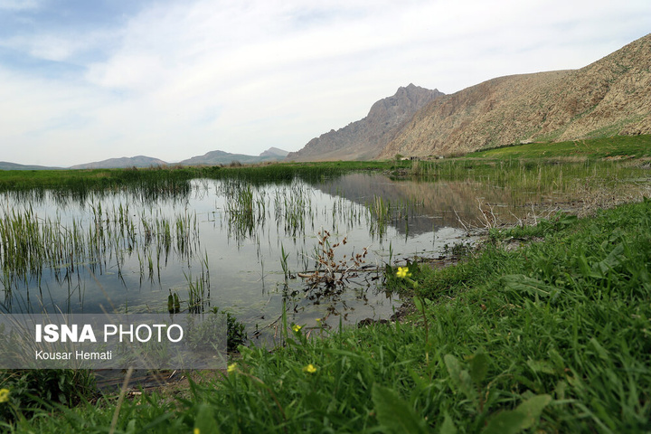 طبیعت بهاری تالاب «هشیلان» - کرمانشاه