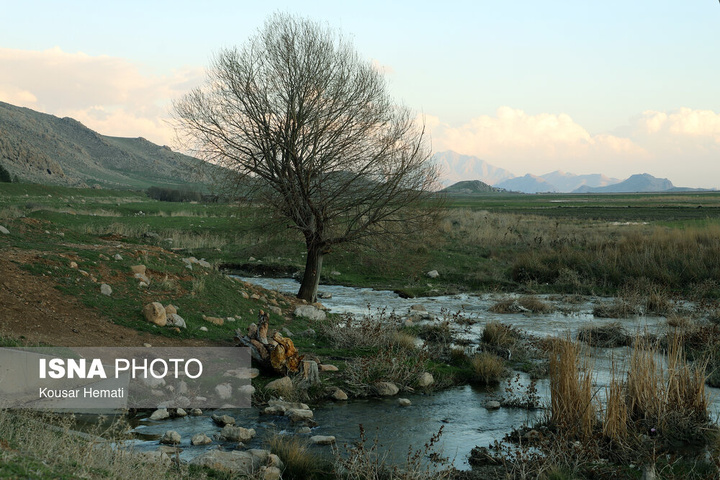 طبیعت بهاری تالاب «هشیلان» - کرمانشاه