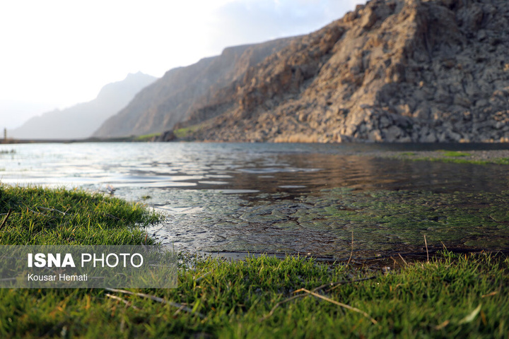 طبیعت بهاری تالاب «هشیلان» - کرمانشاه