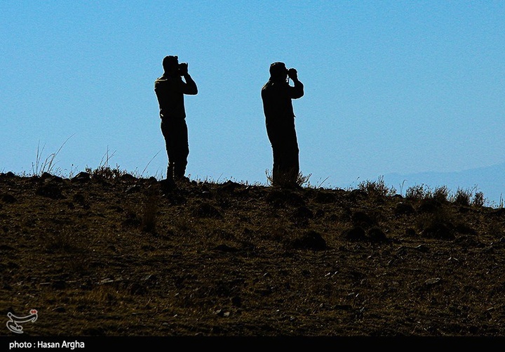 آخرین بازماندگان آهوی ایرانی در شمال غرب کشور