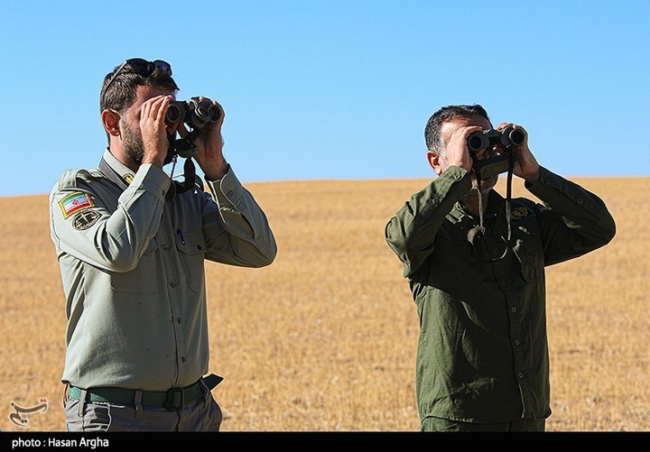 آخرین بازماندگان آهوی ایرانی در شمال غرب کشور