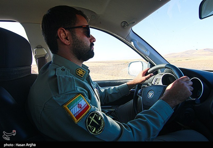 آخرین بازماندگان آهوی ایرانی در شمال غرب کشور