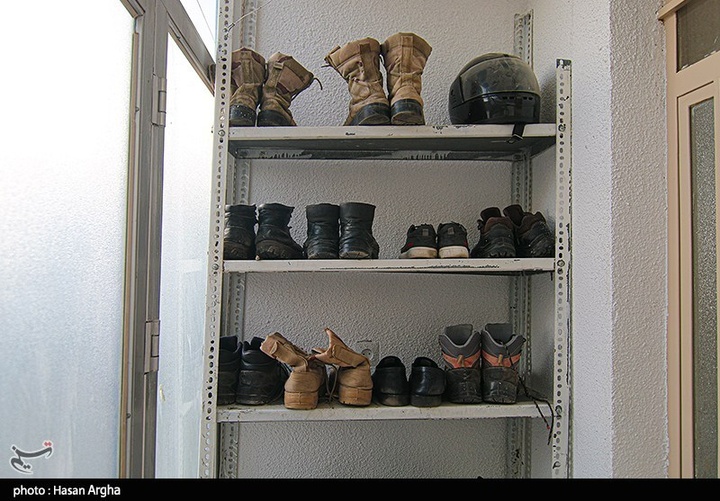 آخرین بازماندگان آهوی ایرانی در شمال غرب کشور