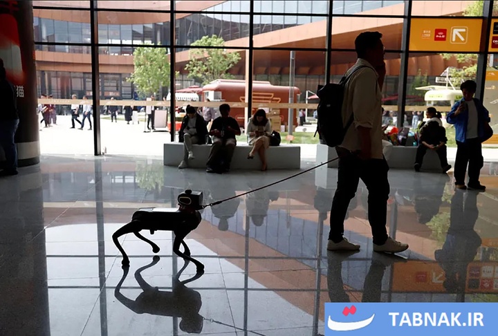 عکس‌های روز جهان: از دریچه تابناک