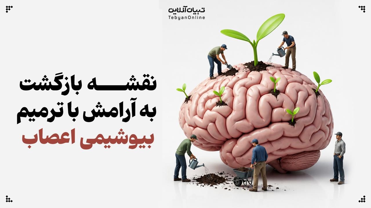 نقشه راه بازگشت به آرامش: ترمیم بیوشیمی اعصاب با تغذیه