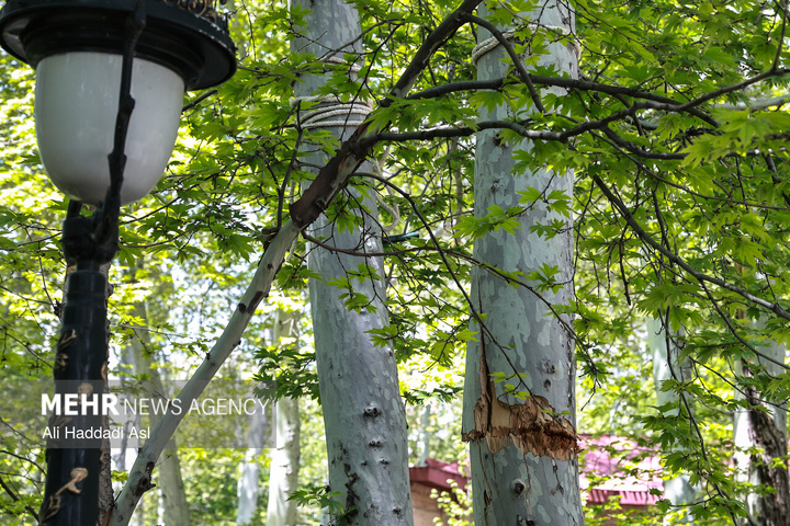 بازدید اصحاب رسانه از خسارات برجا مانده از جنگ رمضان در کاخ سعدآباد