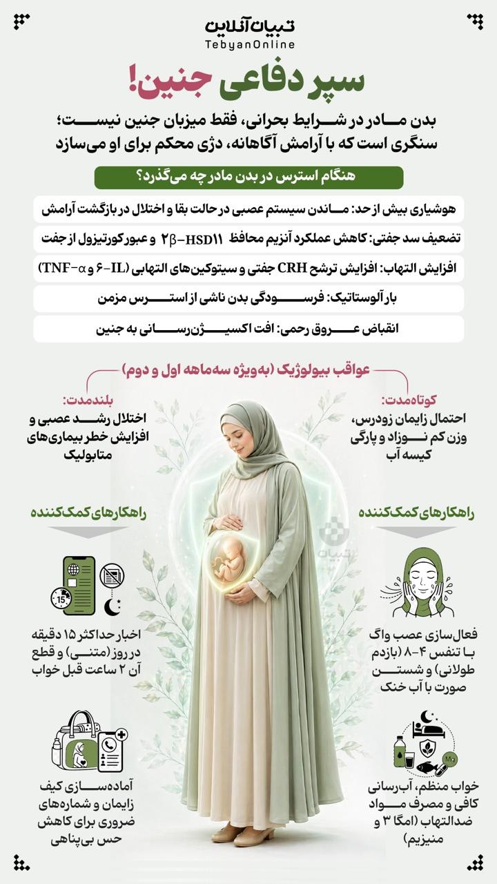 سپر دفاعی جنین سپر دفاعی جنین