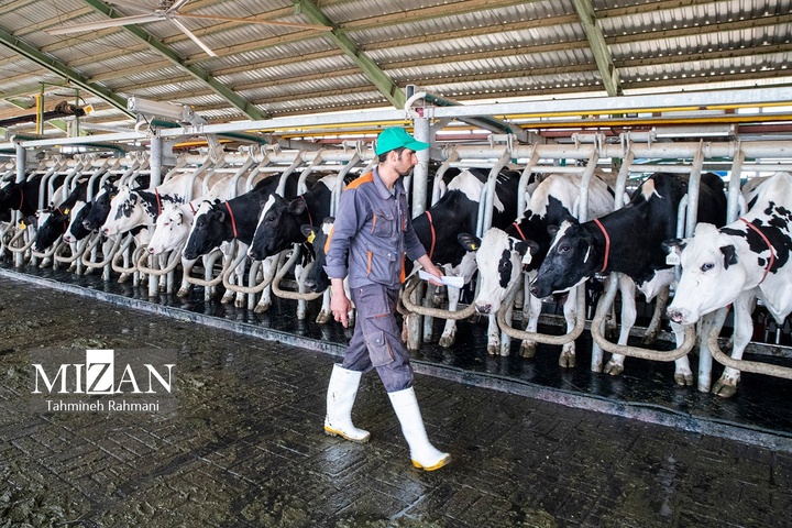 کارگران؛ مردان کار و ایستادگی
