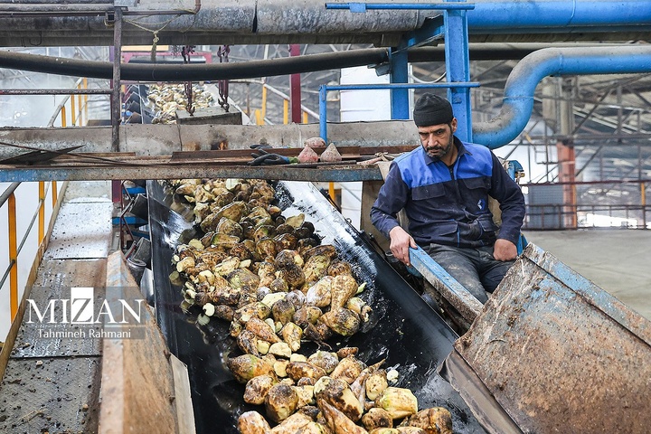 کارگران؛ مردان کار و ایستادگی