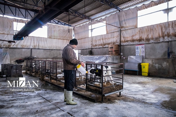 کارگران؛ مردان کار و ایستادگی