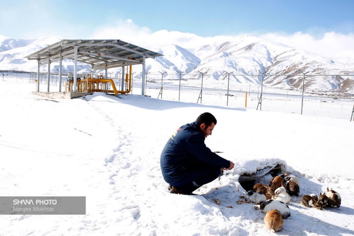 کارگران صنعت نفت؛ نماد اراده و سازندگی