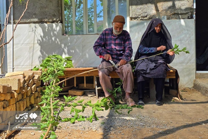 سنگر مقاومت با سوزن و نخ
