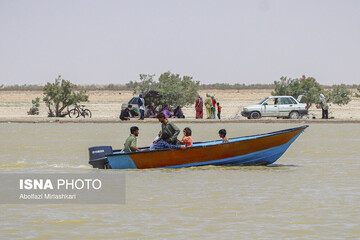 حالِ خوبِ «هامون»