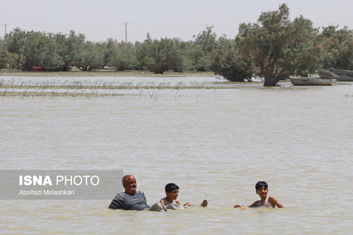 حالِ خوبِ «هامون»