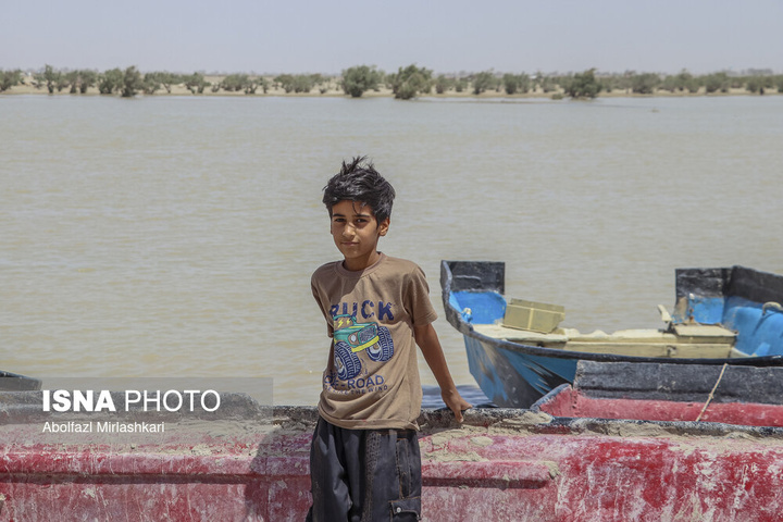 حالِ خوبِ «هامون»
