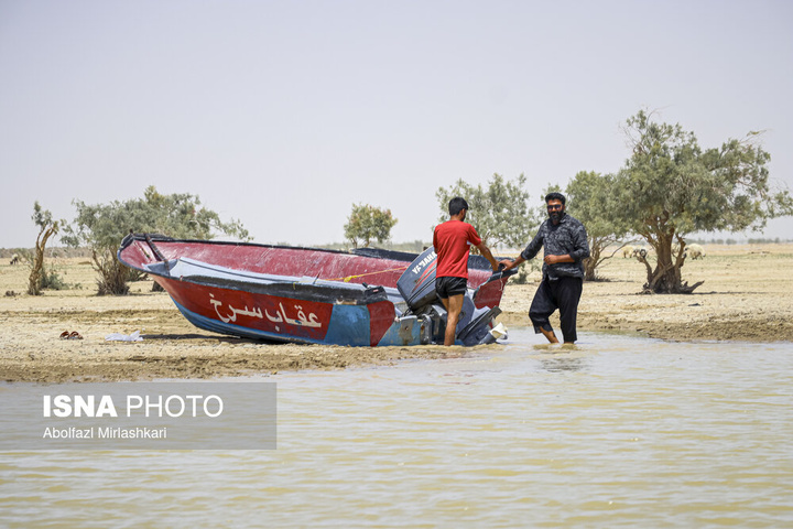 حالِ خوبِ «هامون»