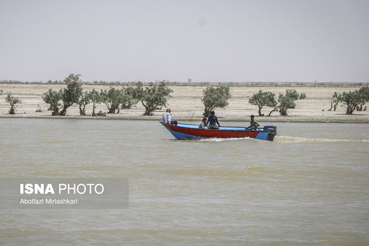 حالِ خوبِ «هامون»